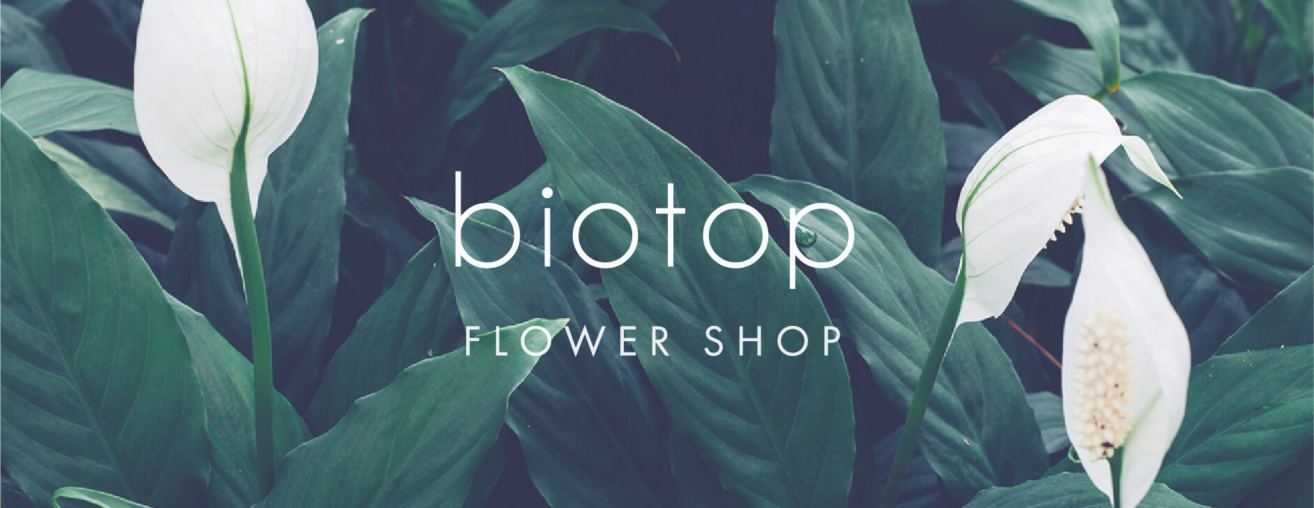 今回ご協力いただいたお花屋さん