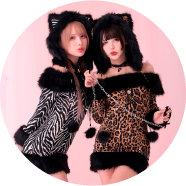 アニマル