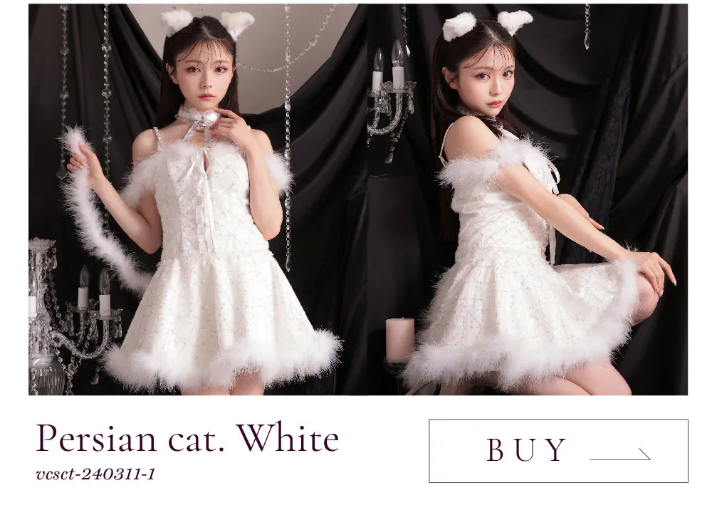 Persian cat. ペルシャ キャット