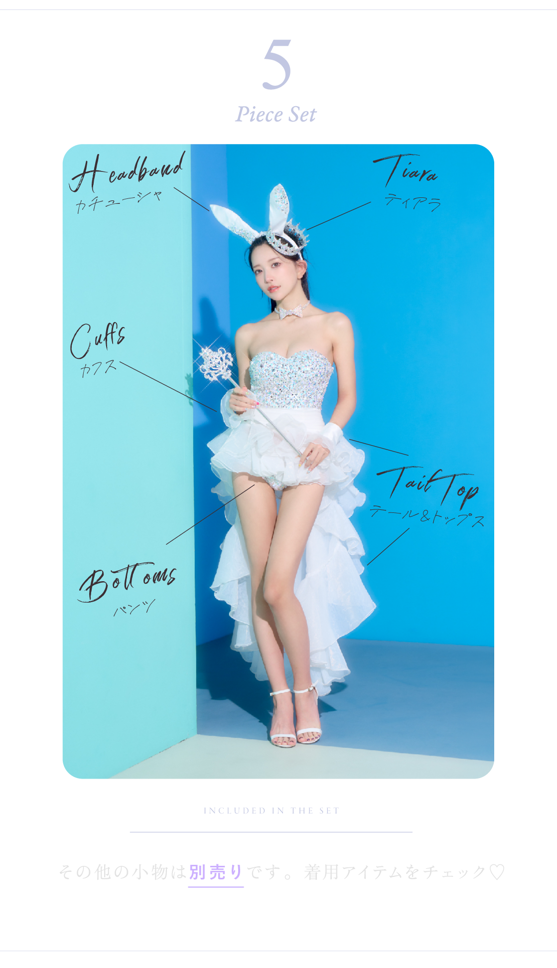 Venus Bunny セット