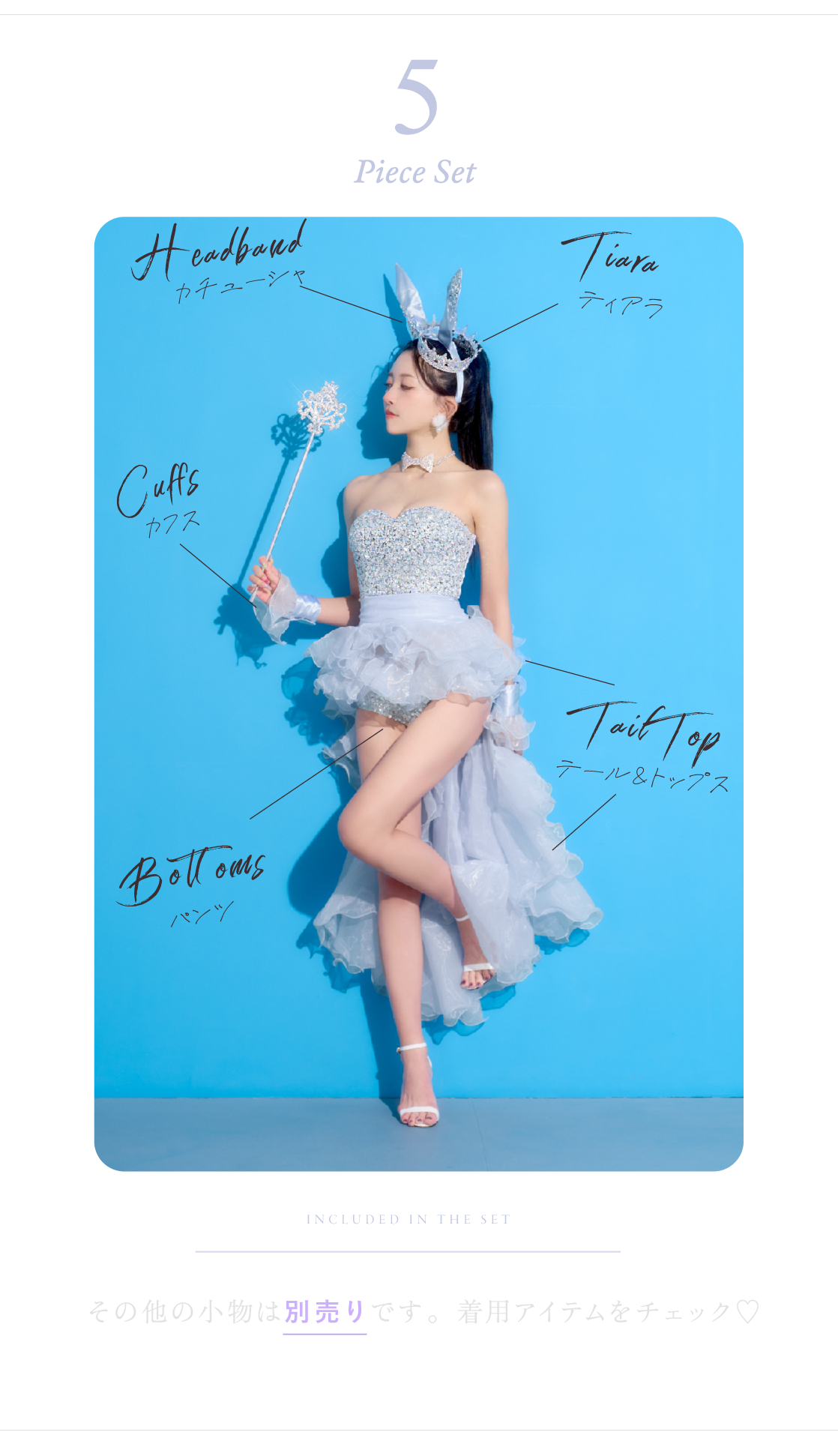 Venus Bunny セット