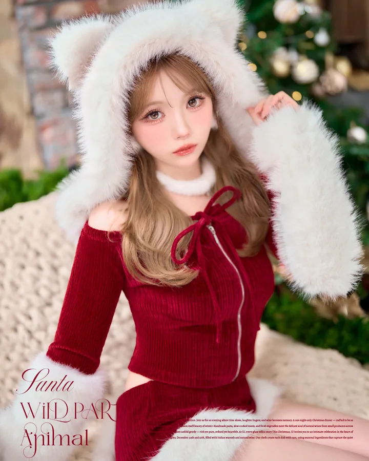VME. collection Wild Party Animal Santa