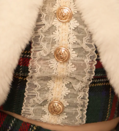 レースと金ボタン