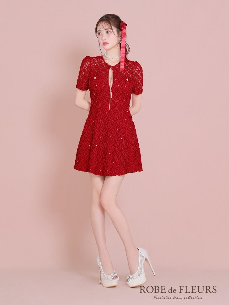 ROBE de FLEURS ローブドフルール シースルーレースビジューバスト