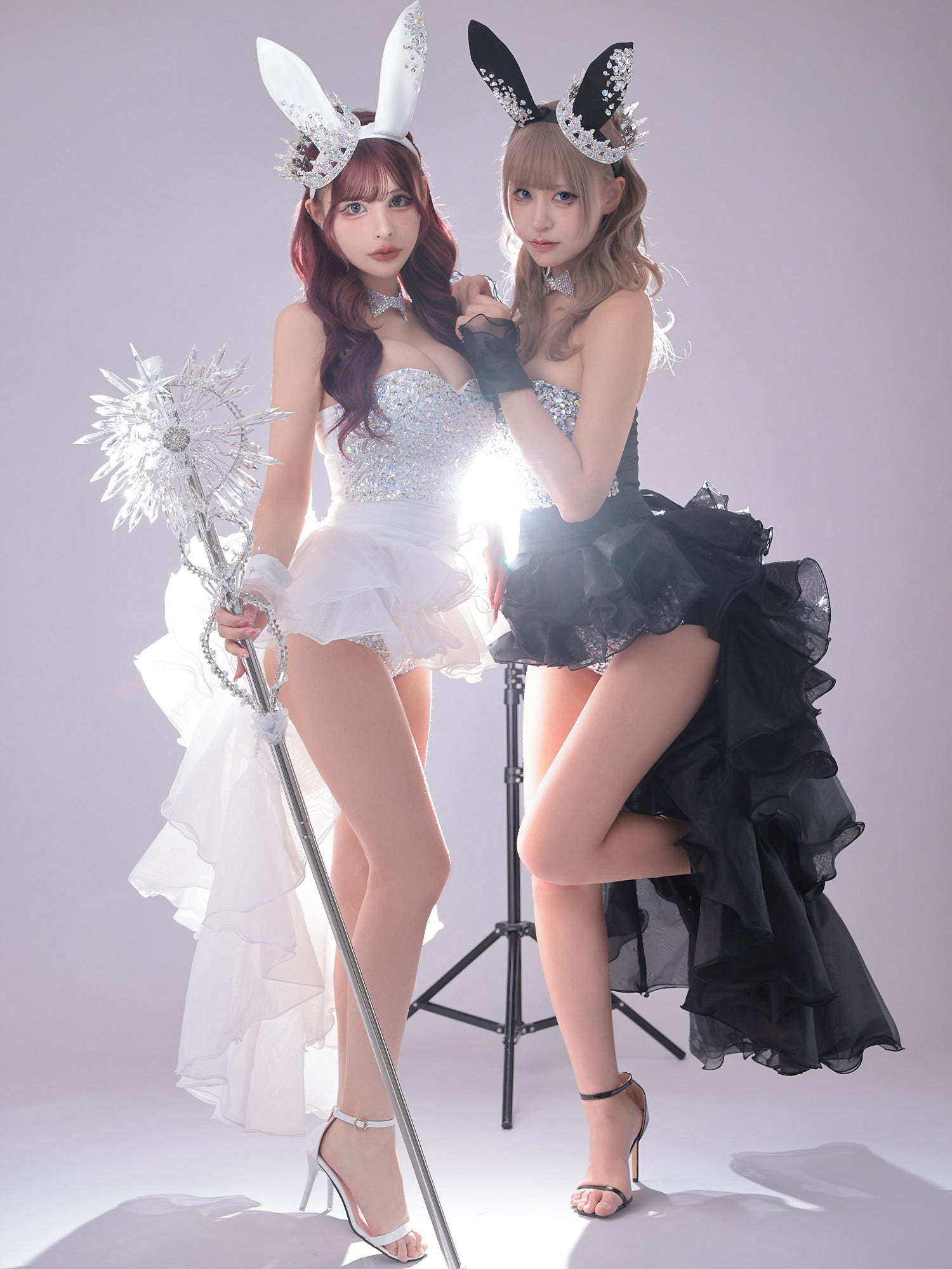 5点セット】venus bunny limited edition ヴィーナスバニー バニー